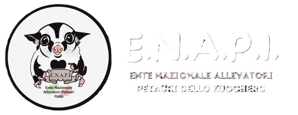 ENAPI